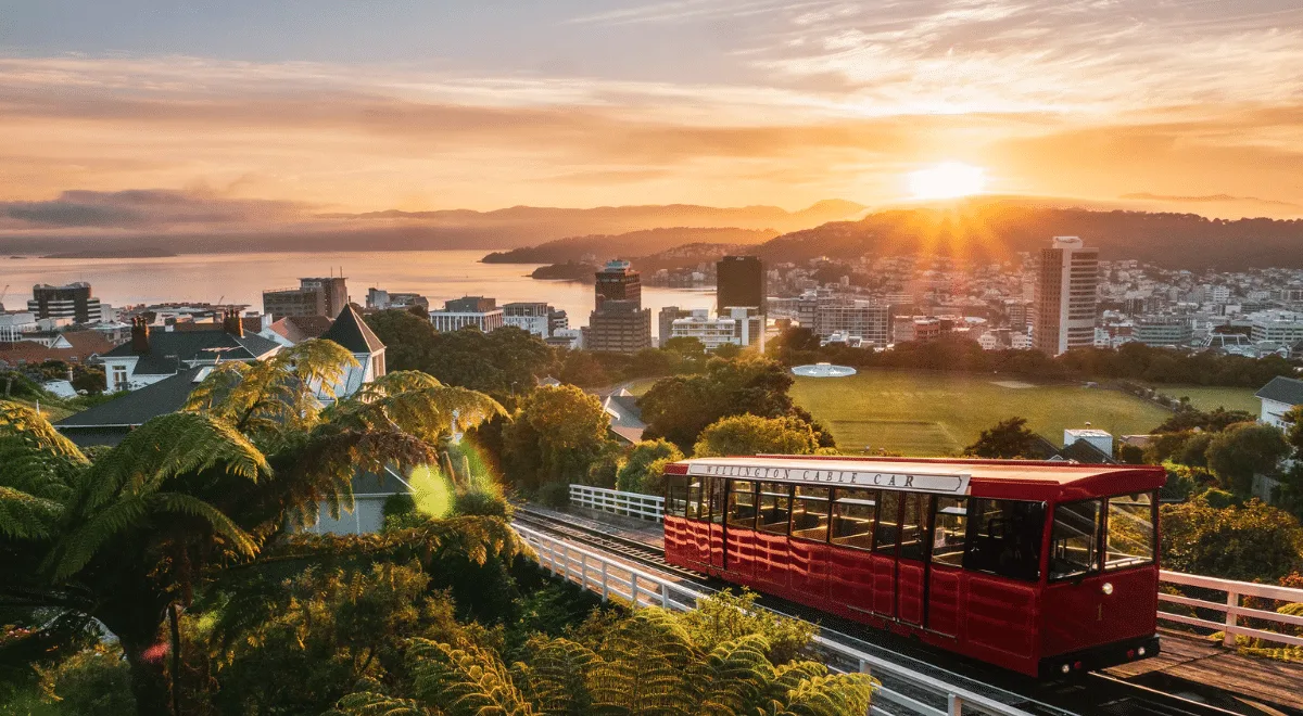The 10 best restaurants and places to eat in Wellington
