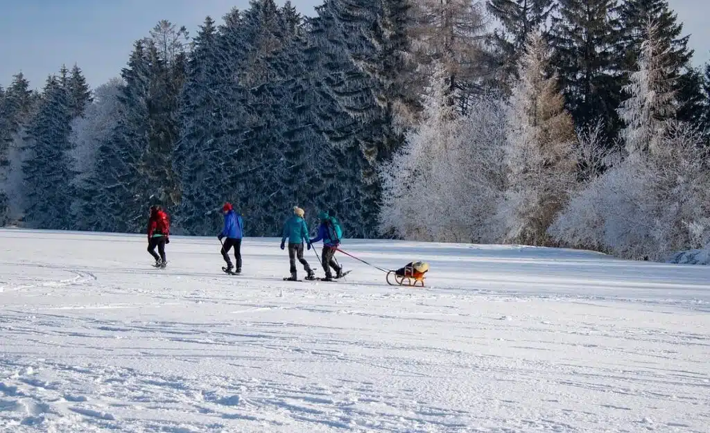Schneeschuhwanderung
