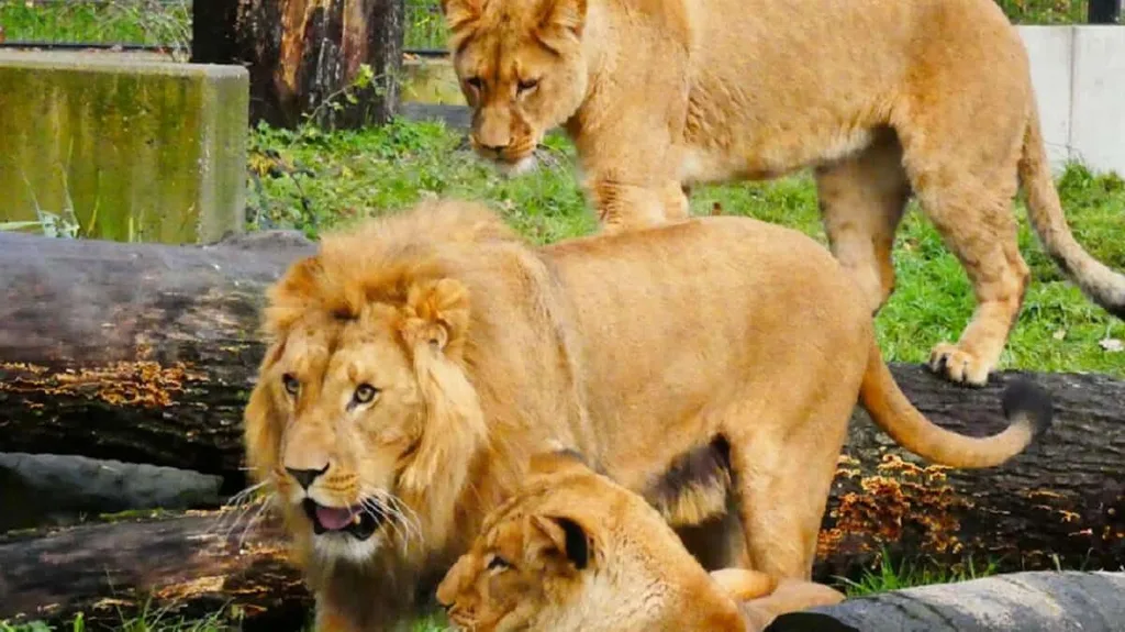 Zoo Dortmund