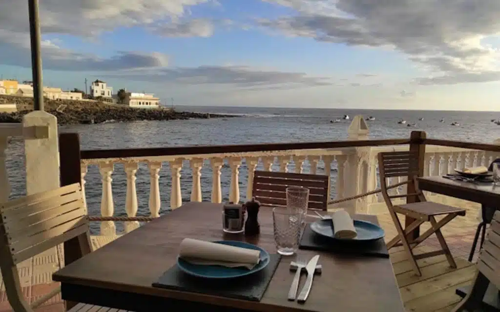 Mirlo Tenerife