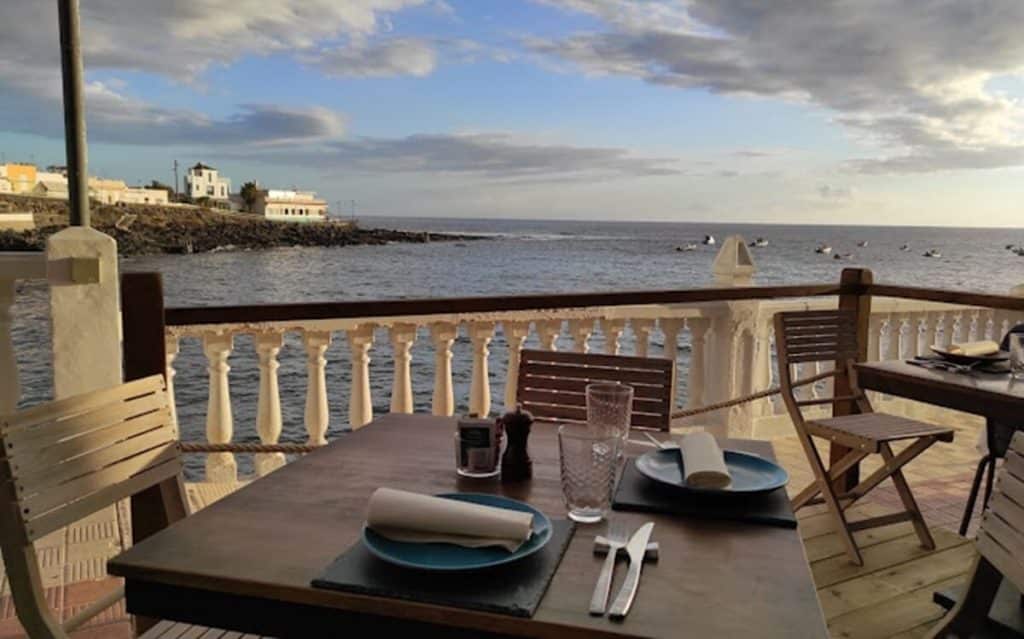 Mirlo Tenerife