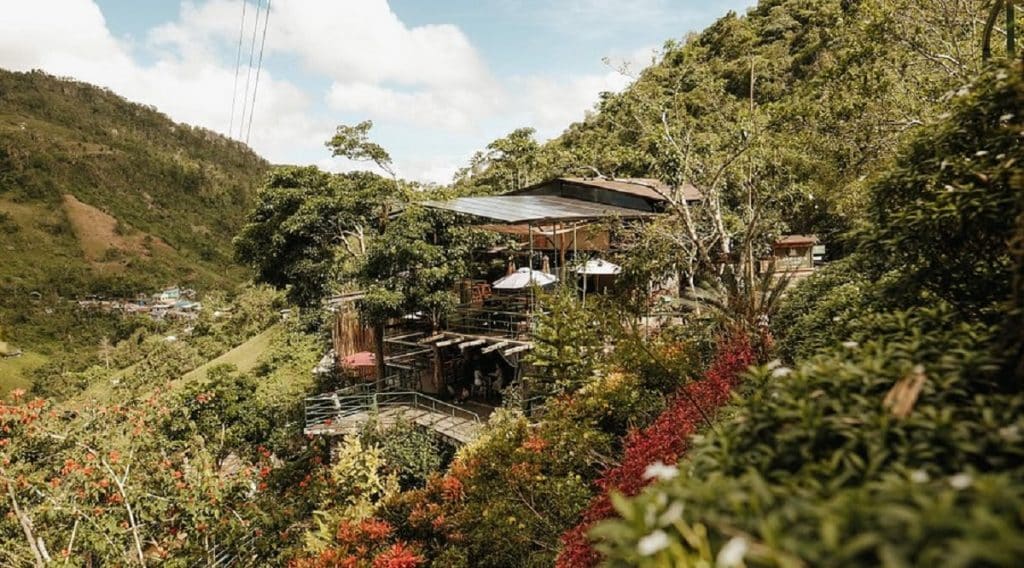 Lakeview Le Jardin